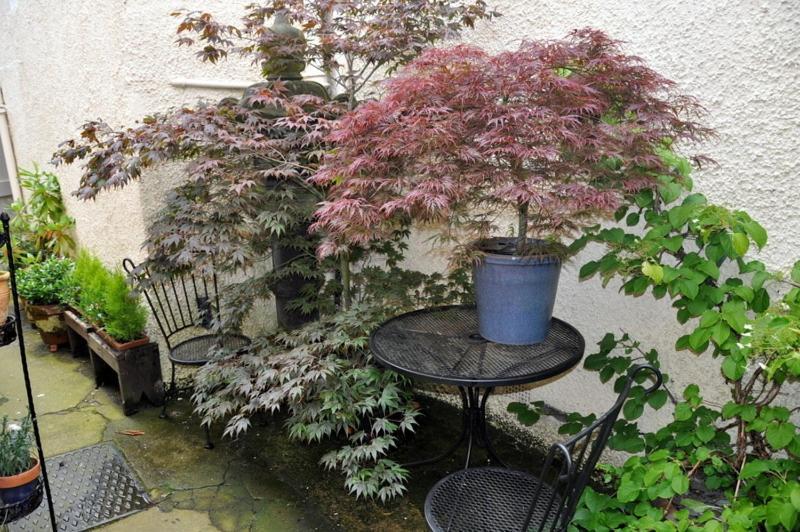 Lady Penelope'S B&B Duns Exterior foto